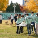 캡스톤벤처스