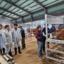영광축협발효사료공장 | K채널 / 영광군, 영광축협 가축시장 방문해 한우 농가 격려