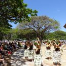 무지갯빛 이미지