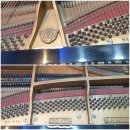 금마하늘피아노학원 | 부천 피아노 조율 중동 피아노 학원 그랜드피아노 조정 조율수리