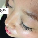미를붙이다