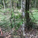 기남농장 이미지