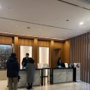 메이필드 호텔 | 서울 메이필드 호텔 객실・수영장 내돈내산 후기