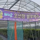 오션팜 이미지