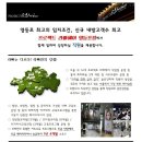 영등포에서 일요일 휴무 가능한 살롱 / 5년이상된 매장 다양한 고객층 / 롯데백화점 맞은편 영등포역 사거리 위치 / 확인하세요 이미지