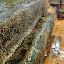 능암호텔 이미지