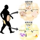 유난히 배가 나온 헌대인들 내장비만을 의심해 보자 이미지