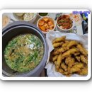 동촌캣 이미지