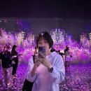세븐일레븐 강릉희망점 | [여행] 나 혼자 간다. 3박 4일 강릉 여행 #아르떼뮤지엄 #카페콥스 2/3