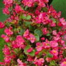 추혁진 가수님 전국노래자랑 강북구편 응원합니다! 이미지