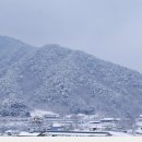 장본대교