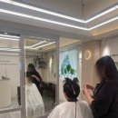 모래내시장역 | 26도헤어 모래내시장역점 시술 후기 남자컷트받고 옴!