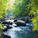 조마루로85번길 18 | 허물고 난 뒤에야 보이는 들판의 숨결, 철거 현장에서 시작되는 새로운 계절