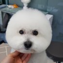 멍라이프 이미지