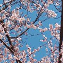 (주)스마일메디컬 이미지