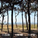 오케이카냉동 | D+437~439 미세스 영화 보고 가방 사고 치바 여행