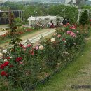 수인공원 이미지