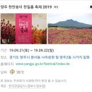 9월 11일. 한국의 탄생화와 부부꽃배달 / 맨드라미, 천일홍, 비름, 쇠무릎 이미지