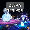 토성가든 | 2025 해운대 빛축제 첫날 후기 부산 놀거리 연말 가볼만한곳