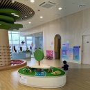 세종 국립 어린이박물관 아기숲속놀이터 애용 후기