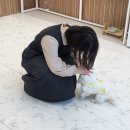 개랑나랑 이미지