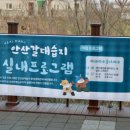 7080로데오맛길 이미지