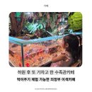 배스킨라빈스의정부 - 의정부시 동일로 456 | 의정부수족관카페 카페 아쿠아랑 / 민락동카페 아이와 가기 좋은 이색카페 후기