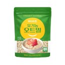 오트로 쇼핑하우