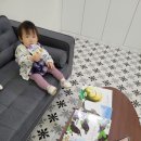 어느 날, 영월 산 책 이미지