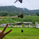 황토방전원주택수지네집 이미지