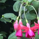 인사동길 이미지