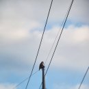 솔로몬 펜션 | 2025.12.19-21