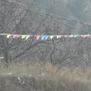 삼삼한갈비