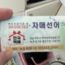 자매선어 이미지