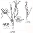 구조 시 효과적인 5:1 도르래 시스템 이미지