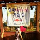 퐁이네 애견 이미지