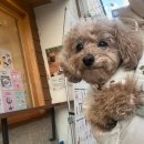 텐퍼센트 경산영남대점 | 텐퍼센트커피 메뉴 추천 텐라떼 내돈내산 후기