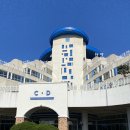 강원도 리조트ㅣ쏠비치 삼척 슈페리어 파셜오션뷰 패밀리 트윈 추천 비추천