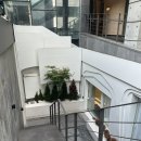 허브한의원 | 강남한의원 바인허브 v메타쉐이프 지방분해 관리 추천후기