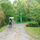 불당골세천 이미지