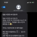 쇼어261 이미지