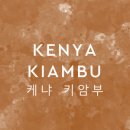 로스팅아라비카 이미지