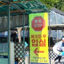원주키즈캠핑장 세가족사이트 생생후기