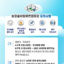 송정솔바람해변 주차장 네이버블로그