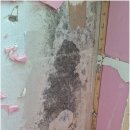 온누리건강하우스 이미지