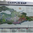 서울대학교(관악캠퍼스)