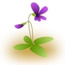 발효식품 이미지
