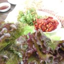 녹조식당 이미지