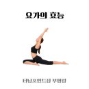 신체균형 댄스요가 이미지