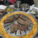 마포갈매기골목 | 공덕 마포갈매기 본점 숯불향 대박 갈매기살 원조 맛집 노포감성 마포 갈매기골목 방문 메뉴 추천 후기